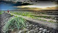 Go west, bis an das Ende vom Trischendamm