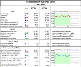 Controlling-Report